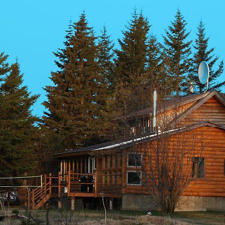 Bear Den Vacation Home Anchor Point Szoba fotó